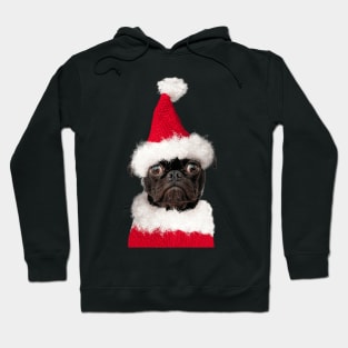 Cute Black Pug in Christmas Santa Hat Hoodie